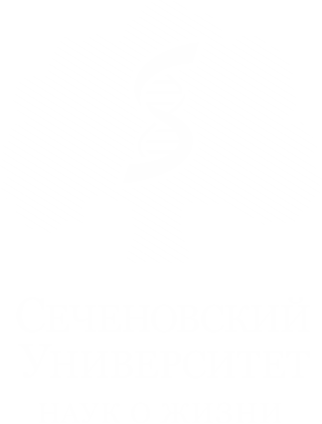 logo_footer